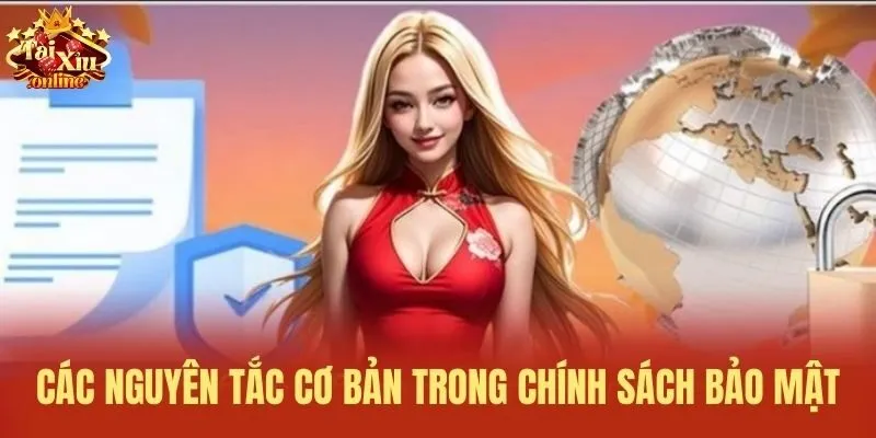 C&aacute;c nguy&ecirc;n tắc cơ bản trong ch&iacute;nh s&aacute;ch bảo mật